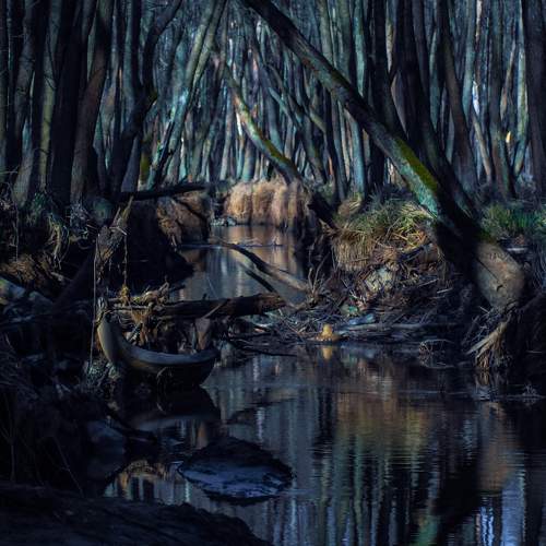 Photo #7452083