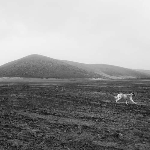 Photo #7452285