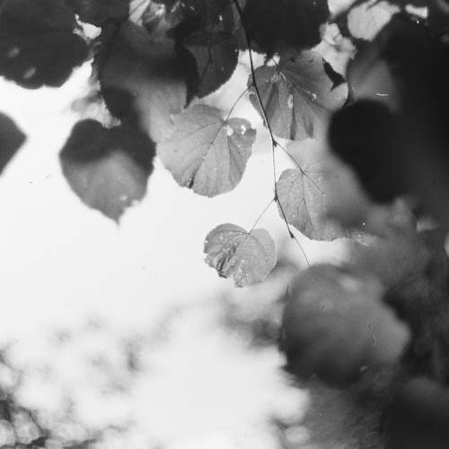 Photo #7452667