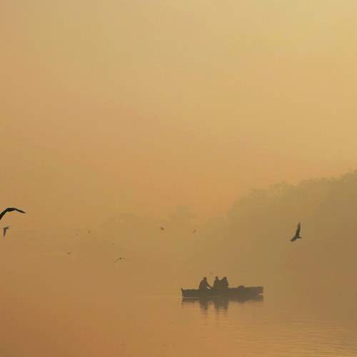 Photo #7452818