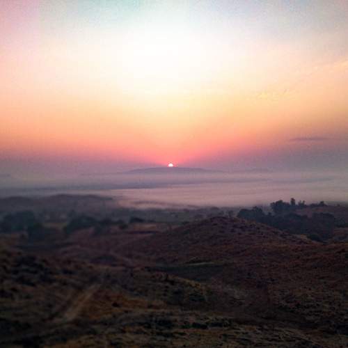 Photo #7453147
