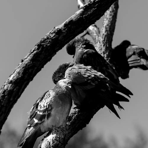 Photo #7453502