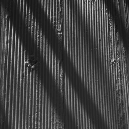 Photo #7453807