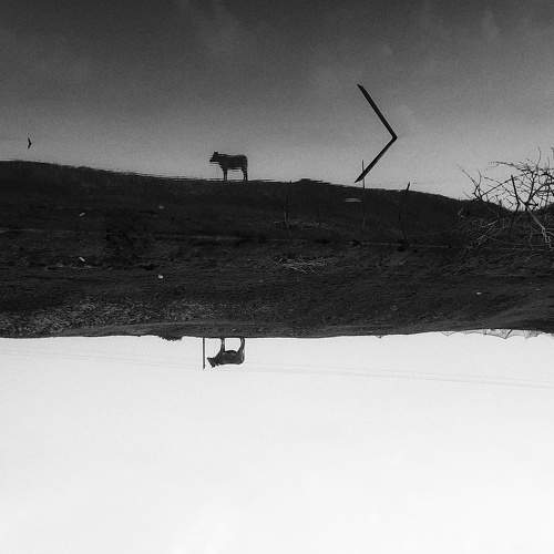 Photo #7453877