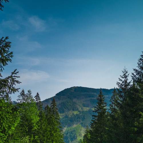 Photo #7454175
