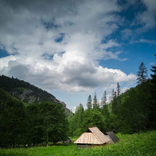 Photo #7454176