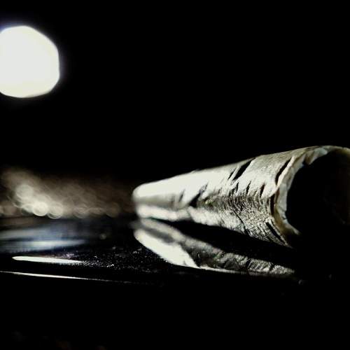 Photo #7454341