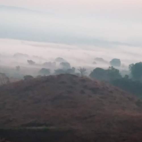 Photo #7455014