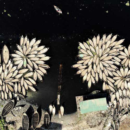 Photo #7455434