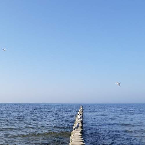 Photo #7455458