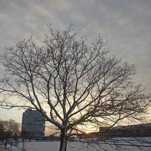 Photo #7455469
