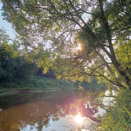 Photo #7455592