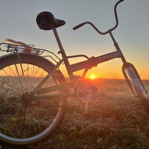 Photo #7455593