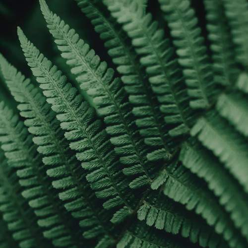 Photo #7456404