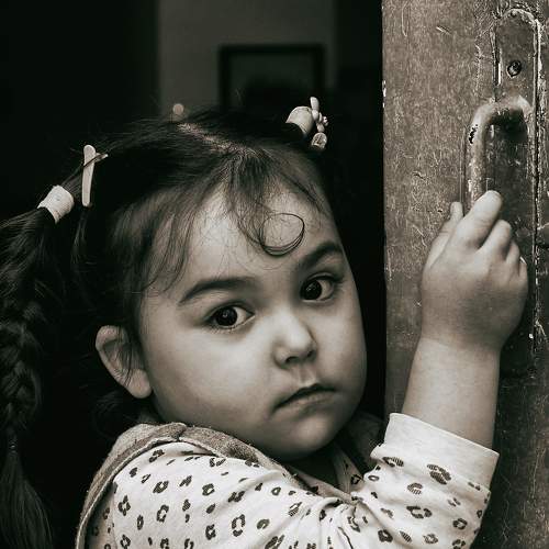 Photo #7456505