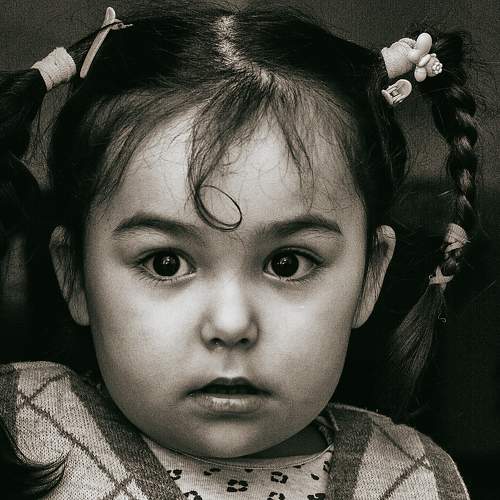 Photo #7456509