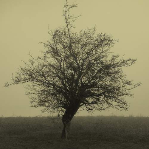 Photo #7457103