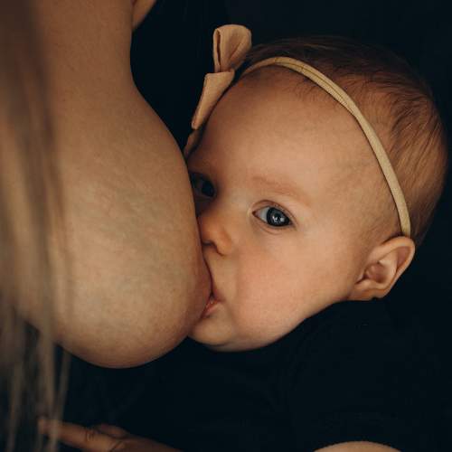 Photo #7457134