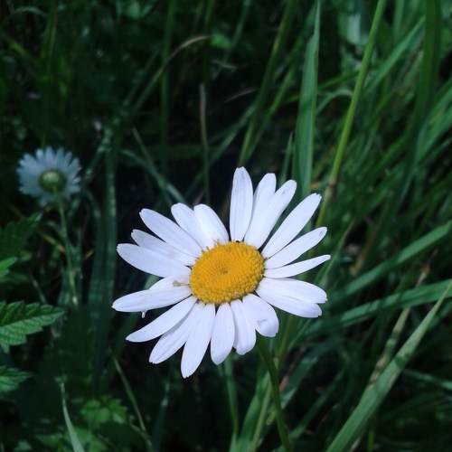 Photo #7457267