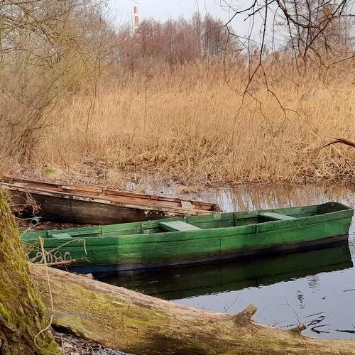 Photo #7457739