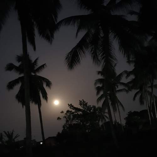 Photo #7457944
