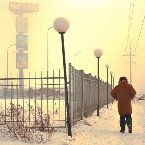 Photo #7458040