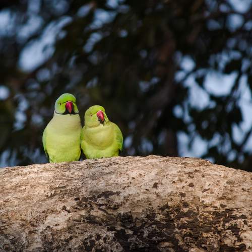 Photo #7458126