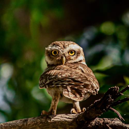 Photo #7458135