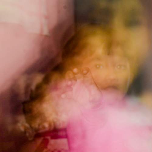Photo #7458210