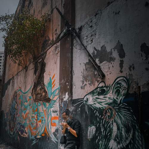 Photo #7458470