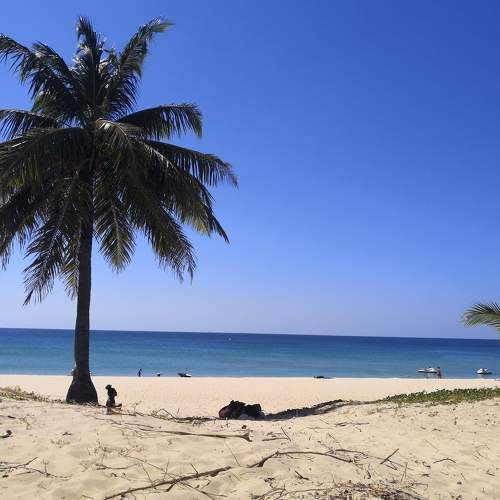 Photo #7458612
