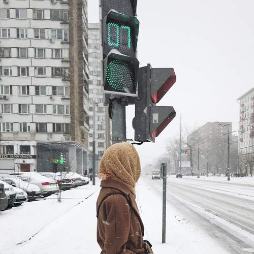 Photo #7458891