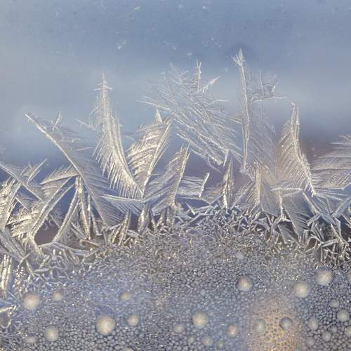 Photo #7459067