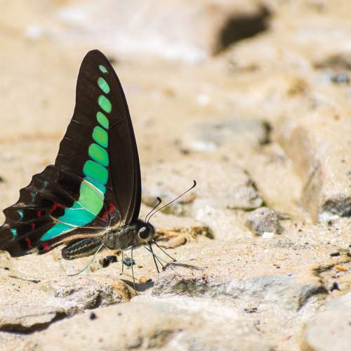 Photo #7460007