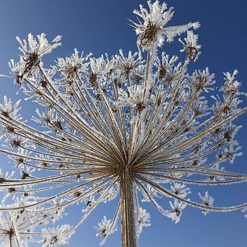 Photo #7460061