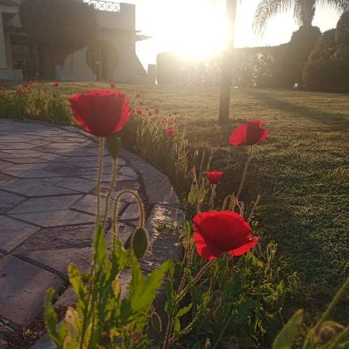 Photo #7460684