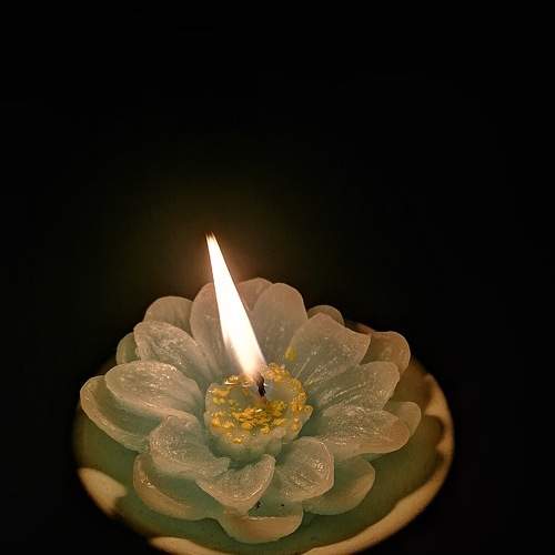 Photo #7461140