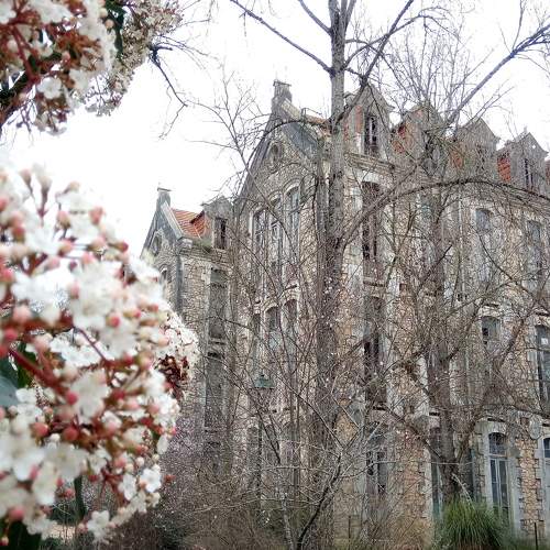 Photo #7461454