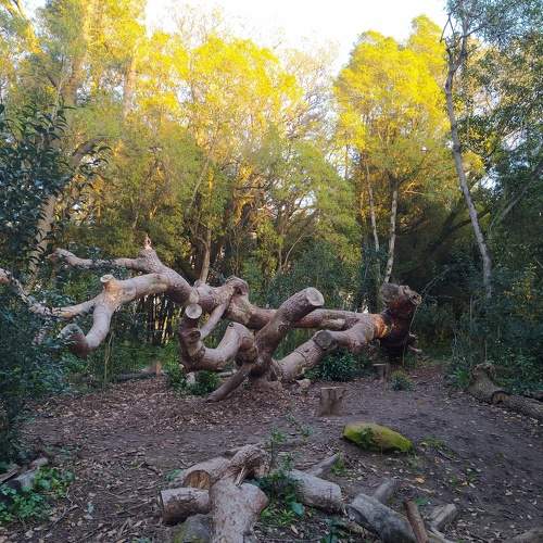 Photo #7461471