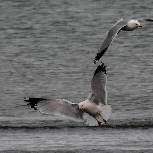 Photo #7461556