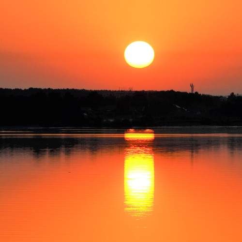 Photo #7461572