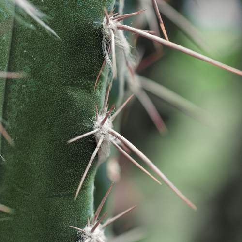 Photo #7461621