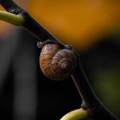 Photo #7461841