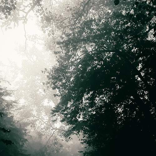 Photo #7461999