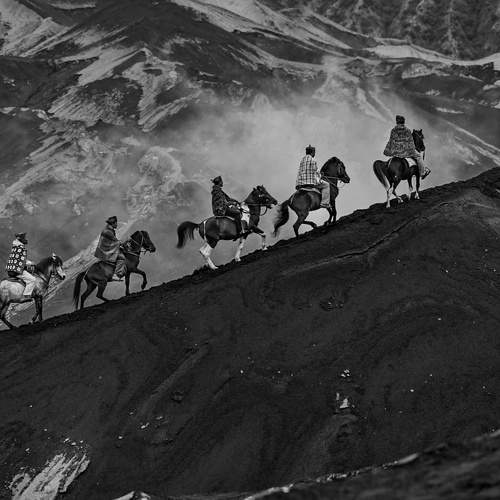 Man and horses