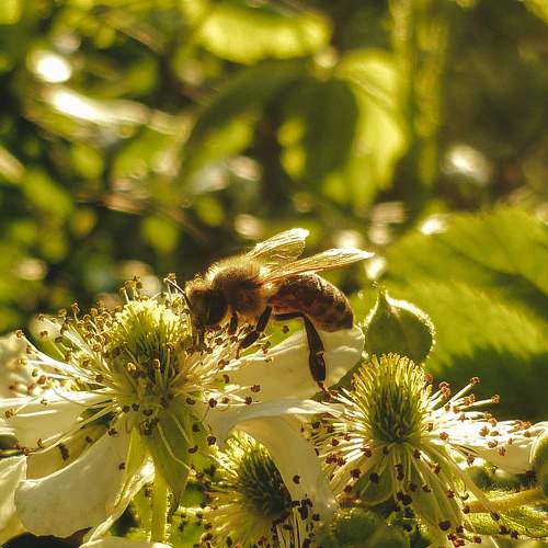 Photo #7462390