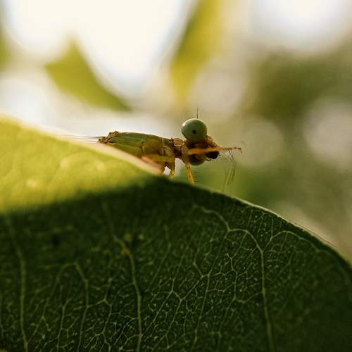 Photo #7463201
