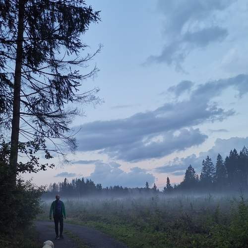 Photo #7463206