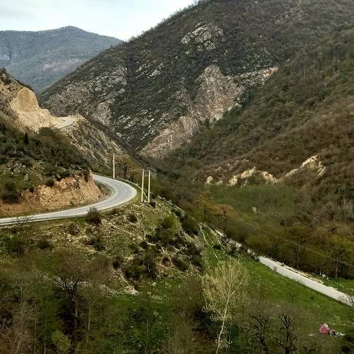 Photo #7463411