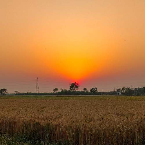 Photo #7463505